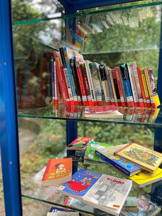 Auf dem Bild sind hinter einer Glasscheibe Kinderbücher zu sehen, die in einem Schrank liegen.