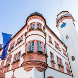 Das Hofer Rathaus im Sommer