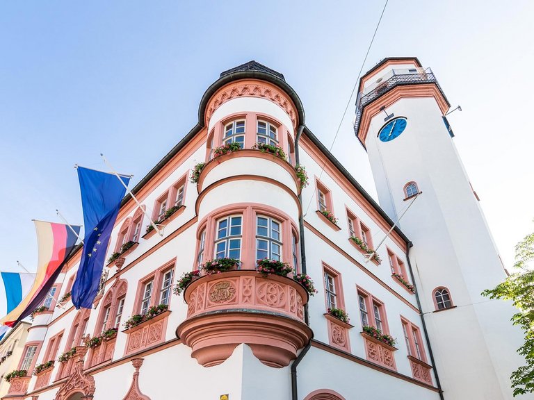 Das Hofer Rathaus im Sommer