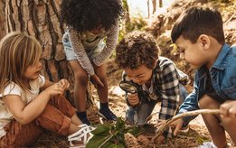 Kinder erkunden den Wald