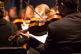 Auf diesem Foto sind die Hofer Symphoniker zu sehen