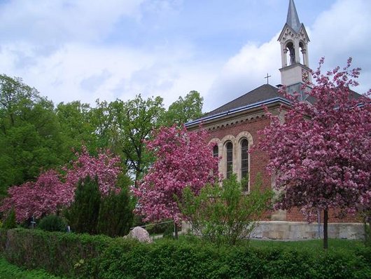 Cemetery chapel in spring with ornamental cherries in bloom