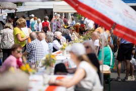 Auf dem Bild sind Dutzende Personen zu sehen, die an einer langen Tafel im Freien sitzen.