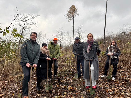Auf dem Bild sind sechs Personen, die im Herbst auf einer Kahlfläche Schaufeln in den Boden stoßen.